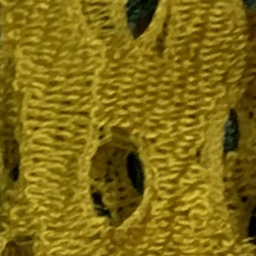 Lace Fabric Eyelet for Women's Wear Wholesale Supplier 2